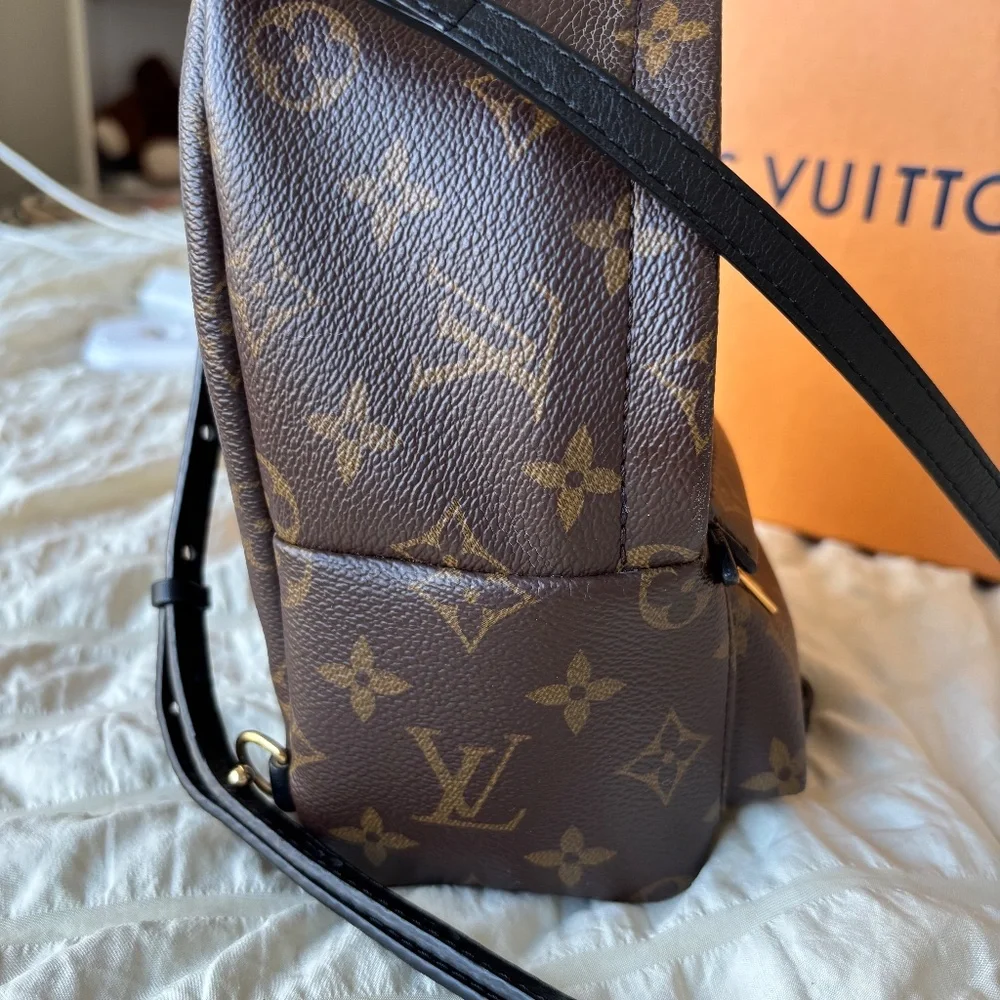 LV Palm Spring Mini - Picture 5 of 12